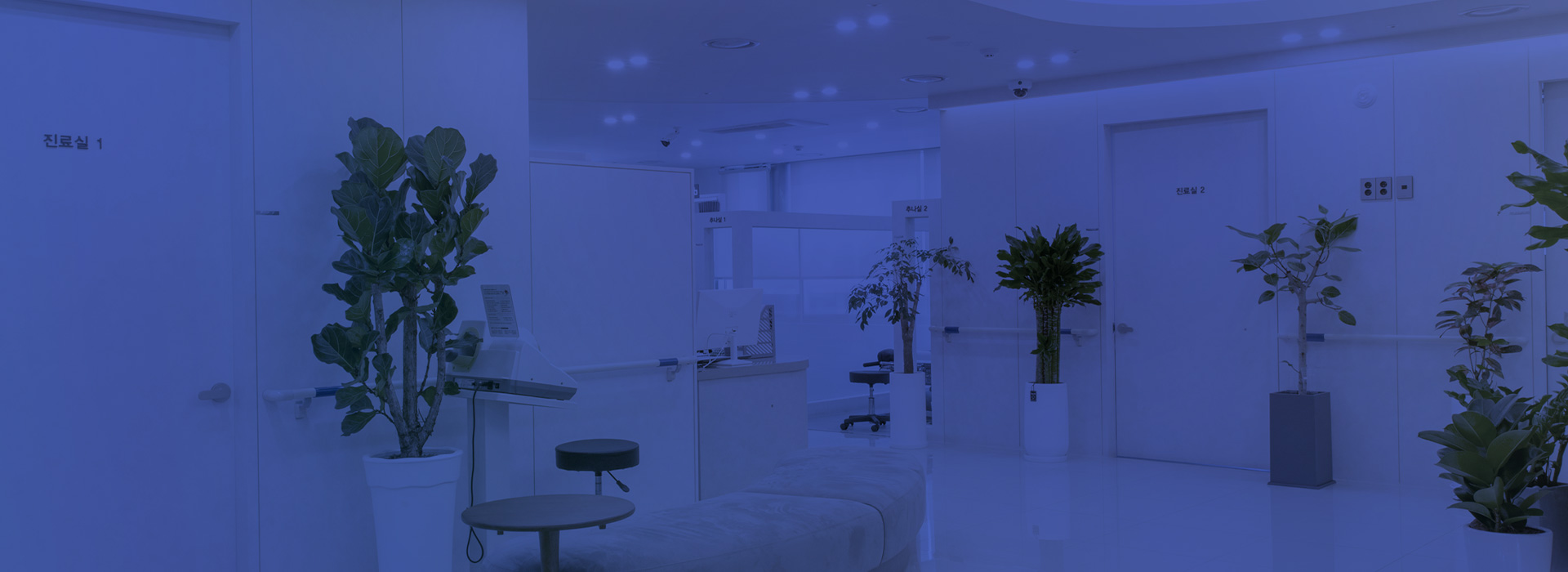 키비주얼 이미지